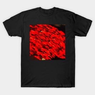 Fire - Red and Black Abstract Design T-Shirt